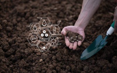 Analyse de risques : priorisez vos sites contaminés et réduisez votre passif environnemental plus rapidement