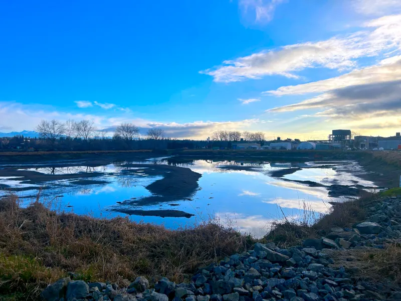 23-040 Iona 2024 Lagoon Cleaning, Richmond BC
